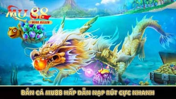 Processo de registro simplificado